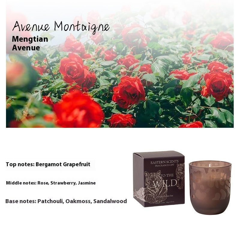 Handmade Smokeless Candles Fragrance Candle Suit, Luxury Home Fragrance Gift Eastern Scents Into The Wild Scented Candle Gift Set – Premium Soy Wax, Animal Print Glass Jar